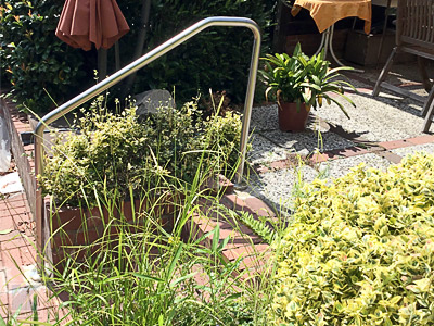 Edelstahl Handlauf freistehend gebogen in der Form 5 für eine Gartentreppe in aufgesetzter Montage